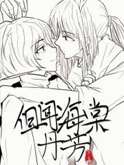 pr九天狐科技升级版